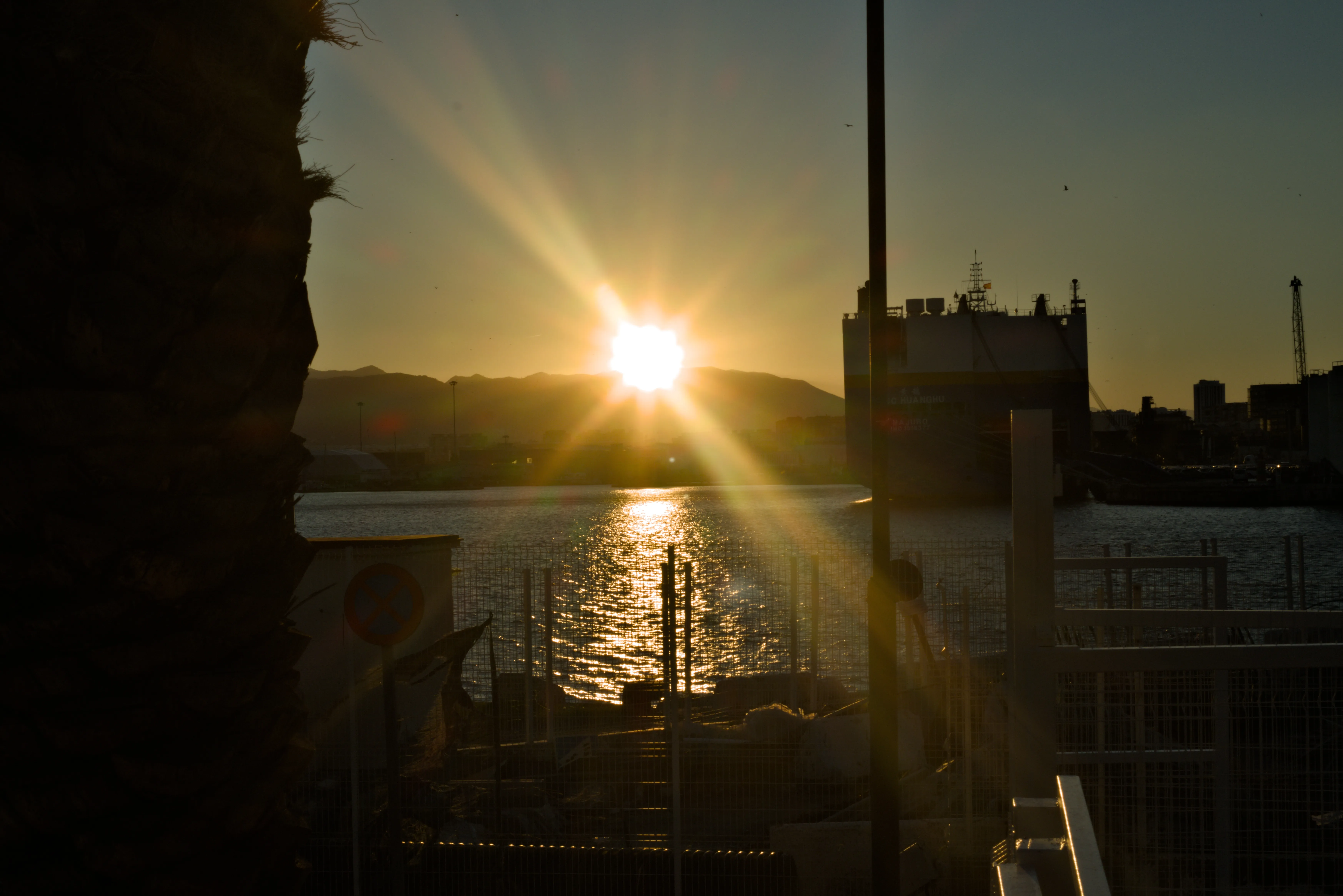 Meyer-Optik Görlitz Primagon 35mm f4.5 (M42) - _I4A2871.webp